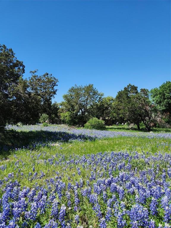 2006 Brazos, Horseshoe Bay, TX 78654 - photo 4