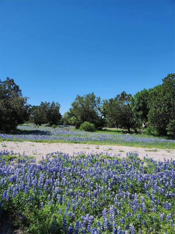 2006 Brazos, Horseshoe Bay, TX 78654 - photo 5