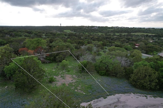2006 Brazos, Horseshoe Bay, TX 78654 - photo 7