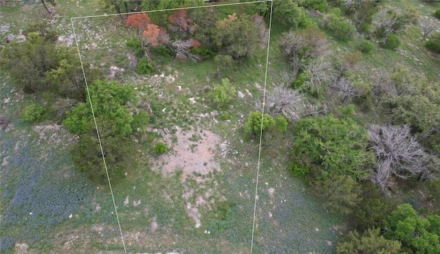 2006 Brazos, Horseshoe Bay, TX 78654 - photo 8