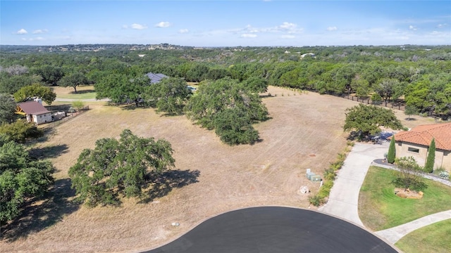 27509 Waterfall Hill Pkwy, Spicewood, TX 78669 - photo 2