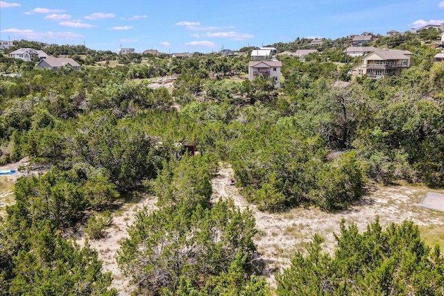 10511 Lake Park Dr, Dripping Springs, TX 78620 - photo 10