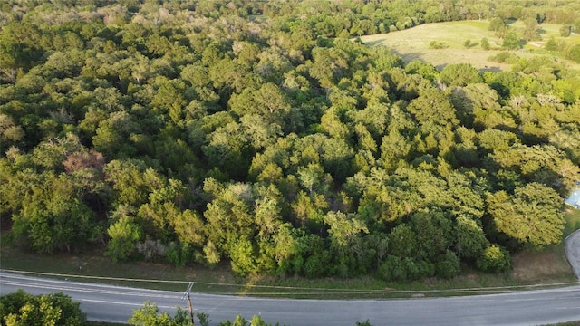 0000 Green Valley Dr, Bastrop, TX 78602 - photo 1