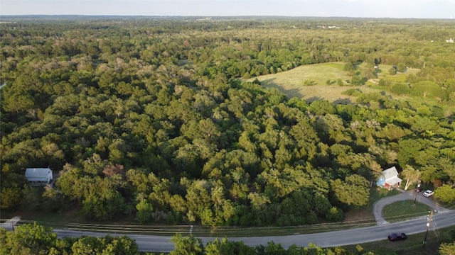 0000 Green Valley Dr, Bastrop, TX 78602 - photo 2
