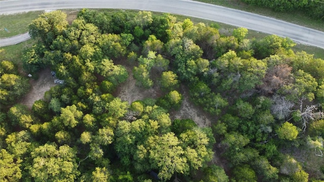 0000 Green Valley Dr, Bastrop, TX 78602 - photo 4