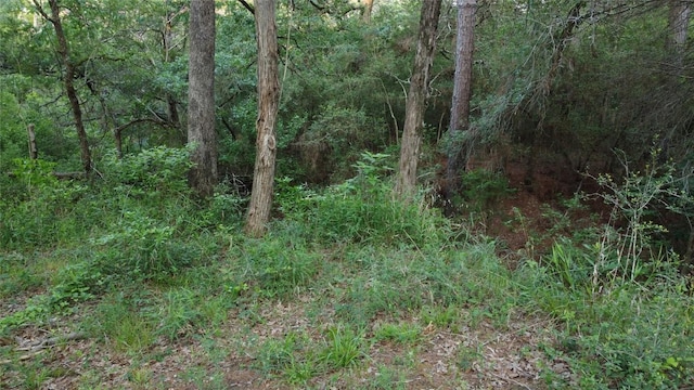0000 Green Valley Dr, Bastrop, TX 78602 - photo 5
