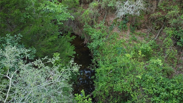 0000 Green Valley Dr, Bastrop, TX 78602 - photo 8