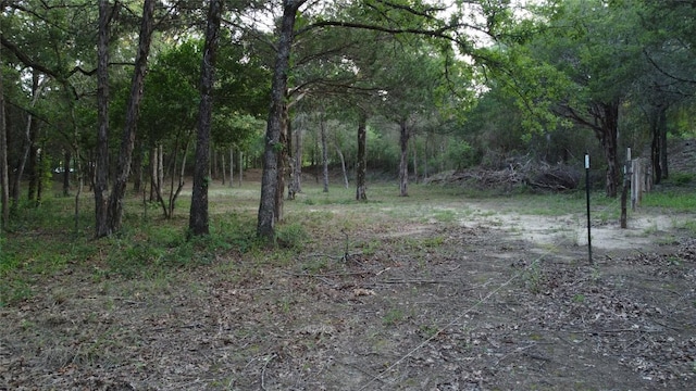 0000 Green Valley Dr, Bastrop, TX 78602 - photo 9
