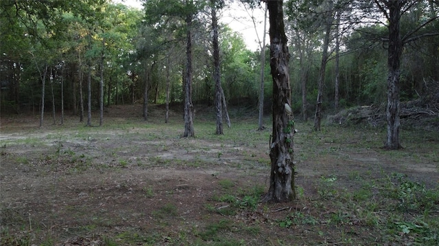 0000 Green Valley Dr, Bastrop, TX 78602 - photo 10