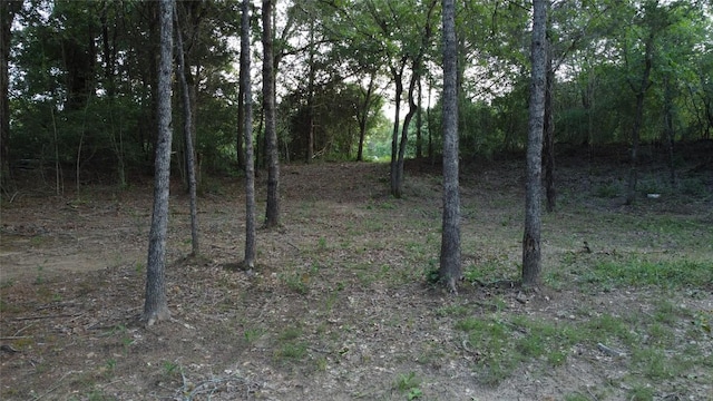 0000 Green Valley Dr, Bastrop, TX 78602 - photo 11