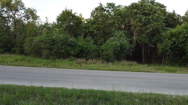 0000 Green Valley Dr, Bastrop, TX 78602 - photo 12