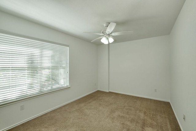 1810 Overcup Dr, Round Rock, TX 78681 - photo 18