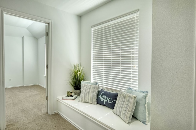 1810 Overcup Dr, Round Rock, TX 78681 - photo 21