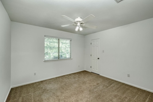 1810 Overcup Dr, Round Rock, TX 78681 - photo 22