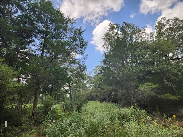 445 Pine Valley Loop, Smithville, TX 78957 - photo 5