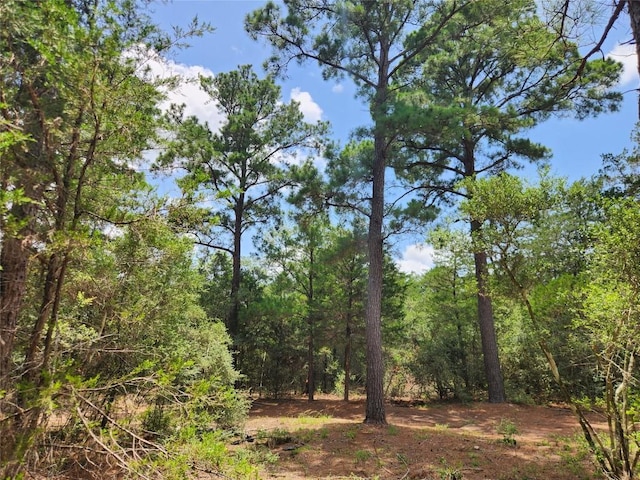 445 Pine Valley Loop, Smithville, TX 78957 - photo 3