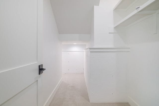 2411 Mccall Rd, Austin, TX 78703 - photo 36