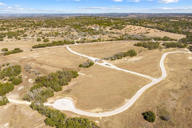 TBD Purple Sage Trail, Blanco, TX 78606 - photo 1