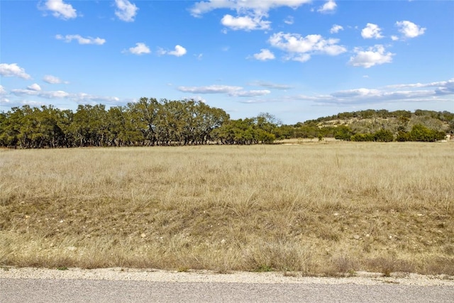 TBD Purple Sage Trail, Blanco, TX 78606 - photo 18