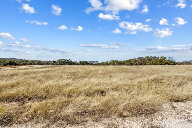 TBD Purple Sage Trail, Blanco, TX 78606 - photo 19