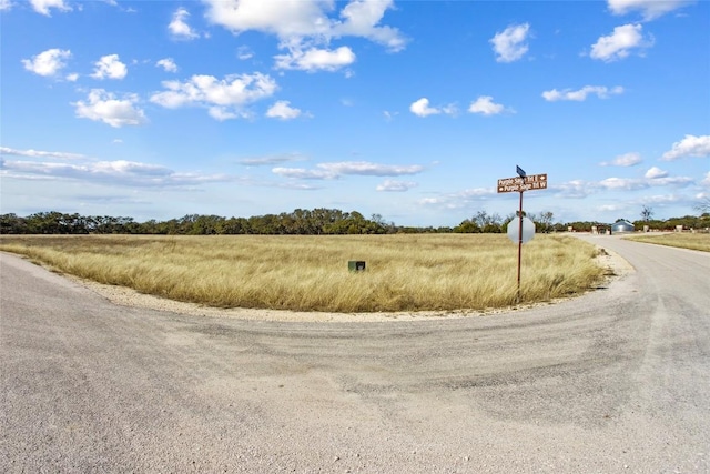 TBD Purple Sage Trail, Blanco, TX 78606 - photo 20