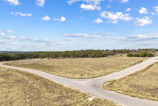 TBD Purple Sage Trail, Blanco, TX 78606 - photo 21