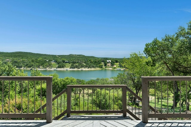 17902 Crystal Cv, Jonestown, TX 78645 - photo 34