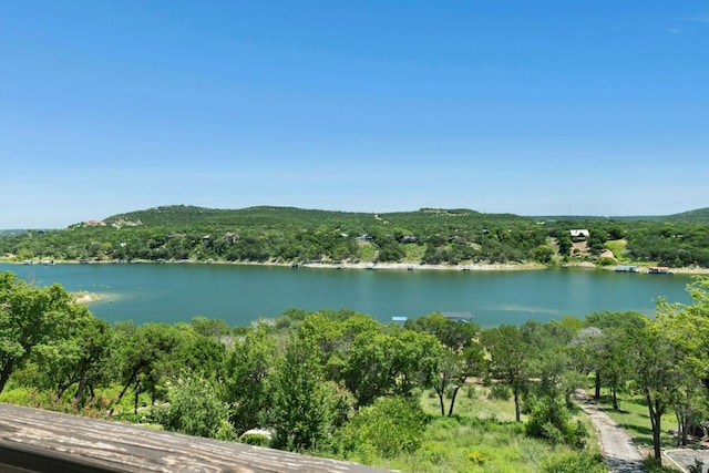 17902 Crystal Cv, Jonestown, TX 78645 - photo 8