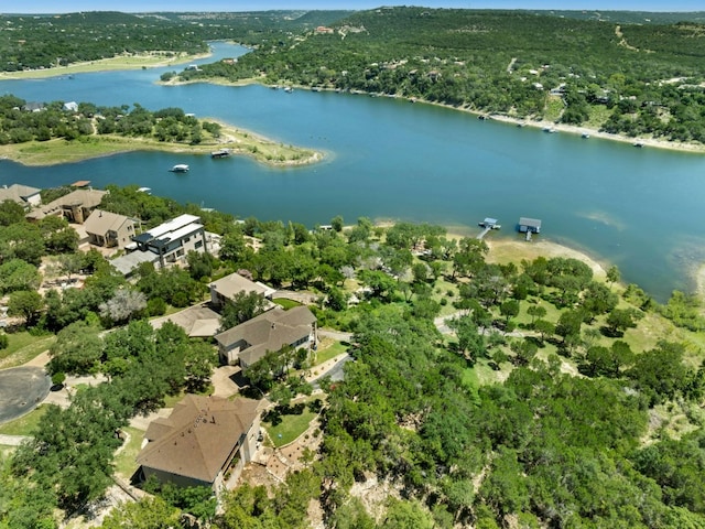 17902 Crystal Cv, Jonestown, TX 78645 - photo 40