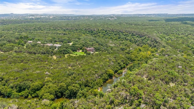 3506 Barton Point Dr, Austin, TX 78733 - photo 39