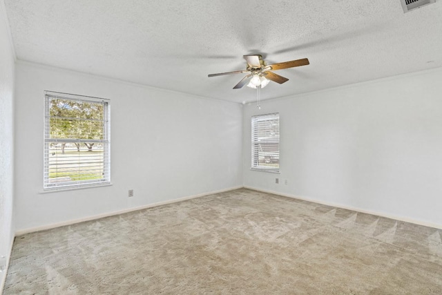1521 Sheridan Trl, Cedar Park, TX 78613 - photo 19