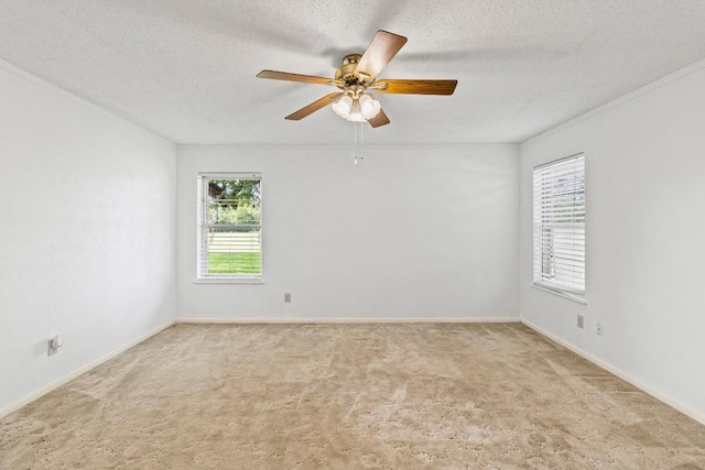 1521 Sheridan Trl, Cedar Park, TX 78613 - photo 21