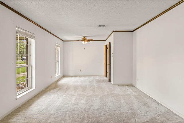 1521 Sheridan Trl, Cedar Park, TX 78613 - photo 8
