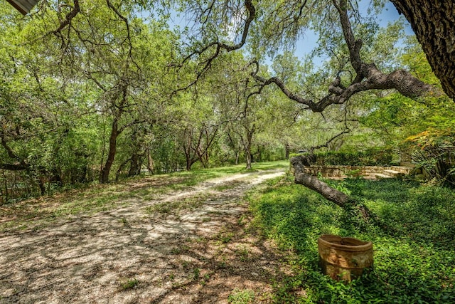 303 Twin Creek Rd, Manchaca, TX 78652 - photo 34