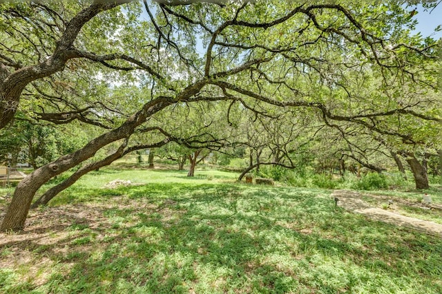 303 Twin Creek Rd, Manchaca, TX 78652 - photo 36
