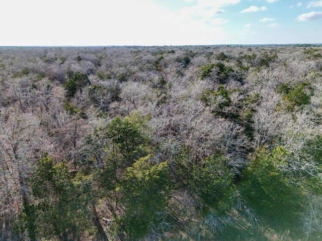 LOT8 S Old Potato Rd, Paige, TX 78659 - photo 5