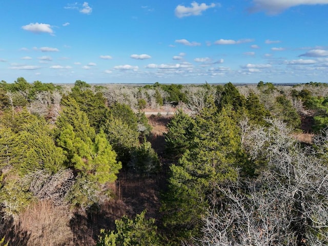 LOT8 S Old Potato Rd, Paige, TX 78659 - photo 6