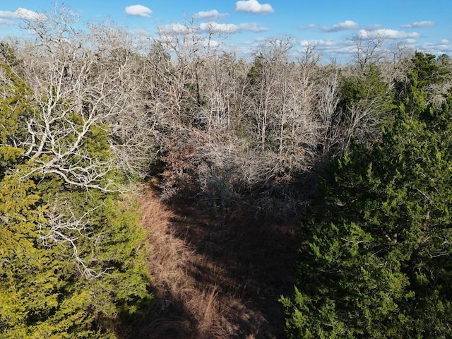 LOT8 S Old Potato Rd, Paige, TX 78659 - photo 16