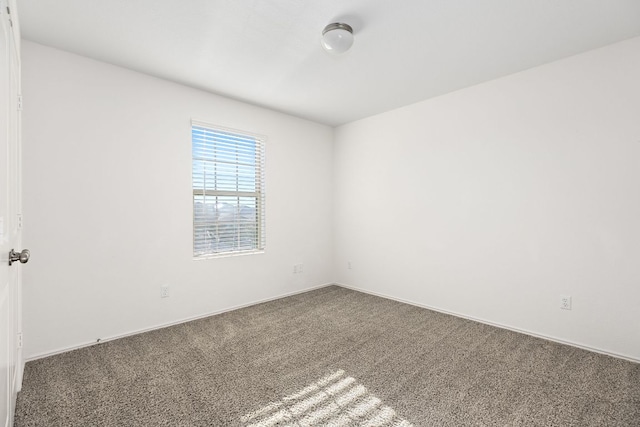 1428 Chad Dr, Round Rock, TX 78665 - photo 37