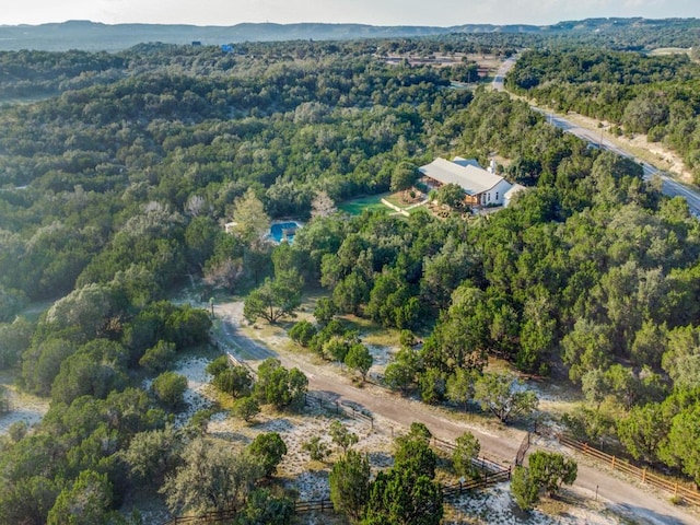 160 Wimberley Ranch Dr, Wimberley, TX 78676 - photo 39