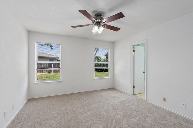 203 Brooke St, Hutto, TX 78634 - photo 12