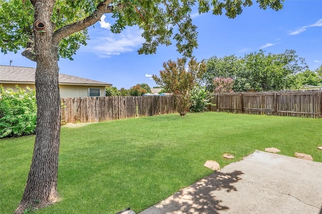 203 Brooke St, Hutto, TX 78634 - photo 23