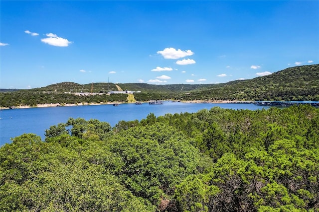 17140 Northlake Hills Dr, Jonestown, TX 78645 - photo 12