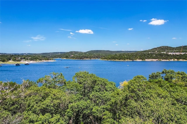 17140 Northlake Hills Dr, Jonestown, TX 78645 - photo 13