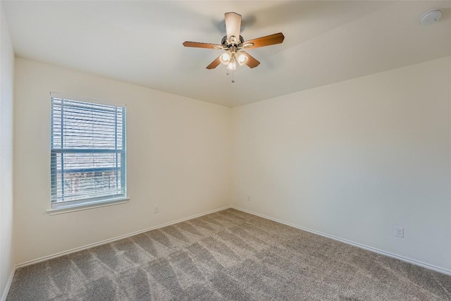 3017 Timothy Dr, Round Rock, TX 78665 - photo 15
