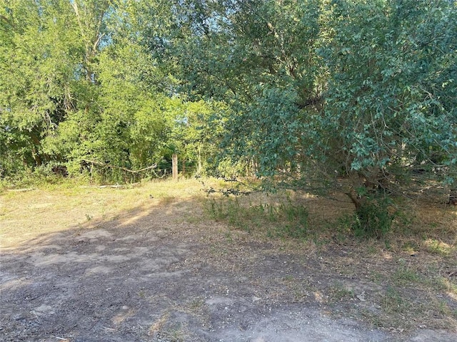 TBD Lee St, Rockdale, TX 76567 - photo 1