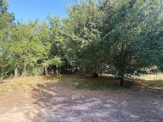 TBD Lee St, Rockdale, TX 76567 - photo 2