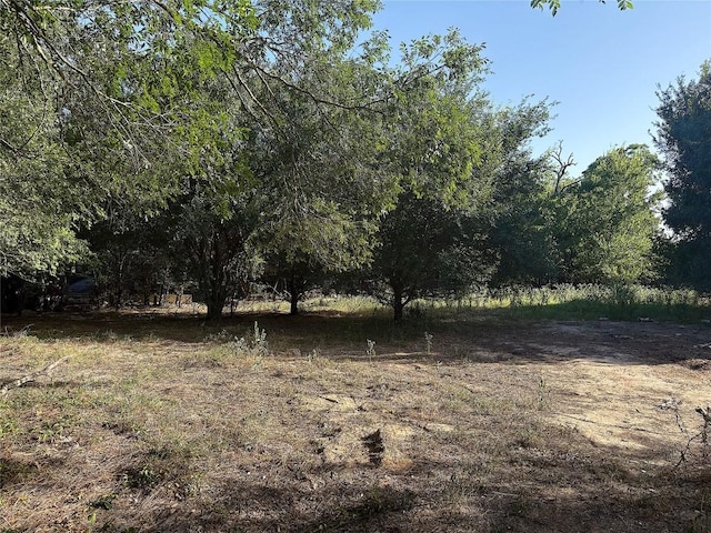 TBD Lee St, Rockdale, TX 76567 - photo 3