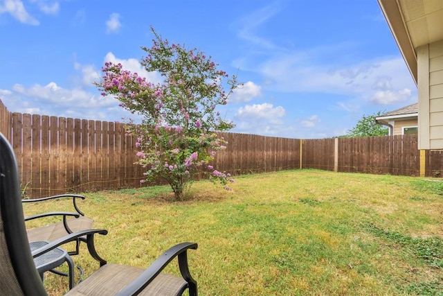 903 Yabers Ct, Austin, TX 78725 - photo 19