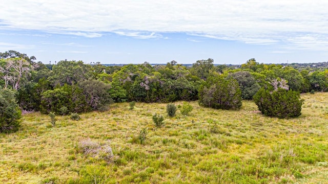 440 Onion Creek Ln, Driftwood, TX 78619 - photo 16